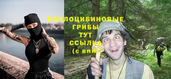винт Наволоки