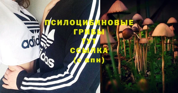 винт Наволоки
