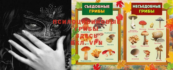 соль ск Надым