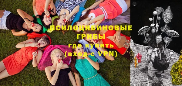 соль ск Надым