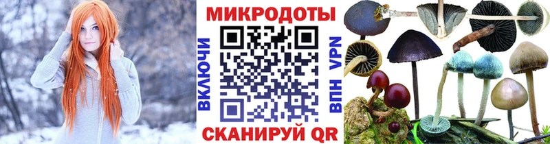 Псилоцибиновые грибы мицелий  Егорьевск 