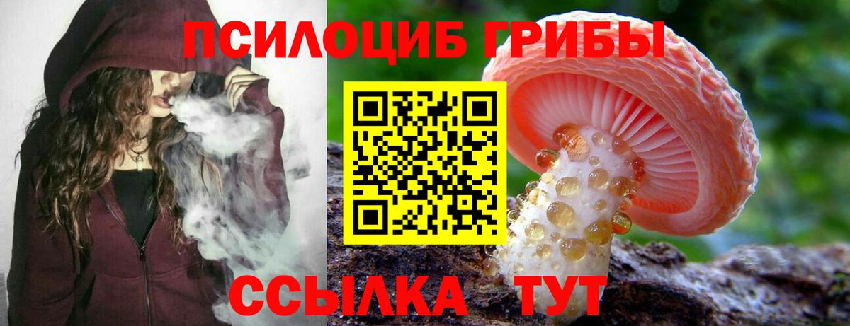 Галлюциногенные грибы Psilocybine cubensis  Вход с VPN  Егорьевск 