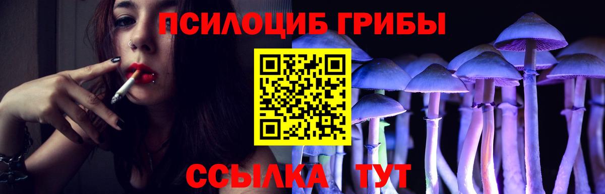 Галлюциногенные грибы Psilocybine cubensis Егорьевск