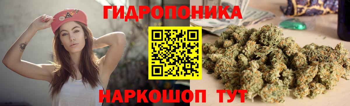 Бошки Шишки планчик  Шишки марихуана индика  Вход с VPN  МАРИХУАНА White Widow  Бошки Шишки SATIVA & INDICA  Егорьевск 